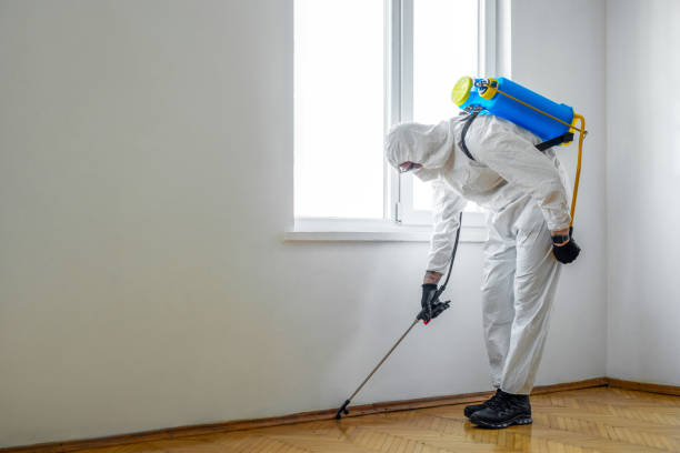 Best Real Estate Pest Inspections  in Janesville, MN